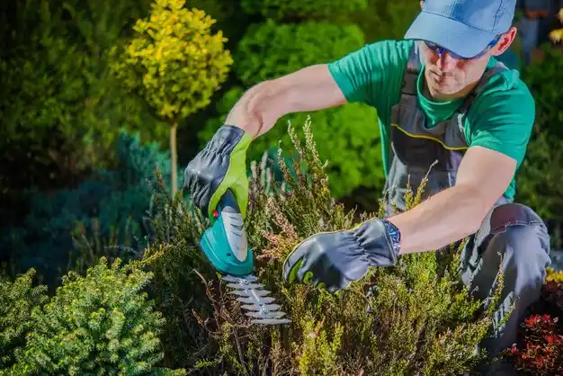 landscaping services Cool Valley